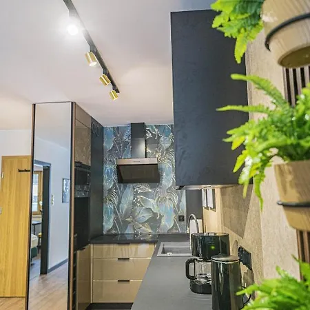 Kilinskiego 17a,2 Apartment Schreiberhau